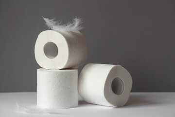 Toilet paper rolls with a fluffy feather, hygienic 3-layer toilet paper. Softness and tenderness for the skin.