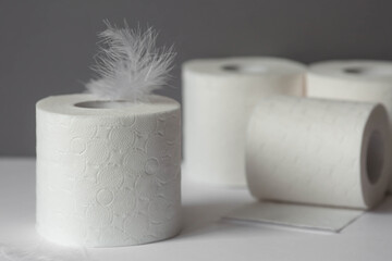 Toilet paper rolls with a fluffy feather, hygienic 3-layer toilet paper. Softness and tenderness for the skin.