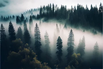 Papier Peint photo Forêt dans le brouillard Forest landscape view from above. foggy forest. Generative AI