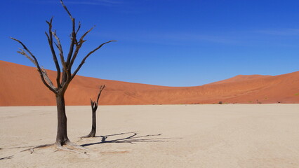 Soussuvlei Namibia