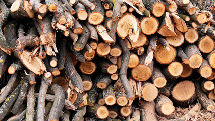 Chopped wood in framefilling stacked pile | cut firewood logs stack for heating