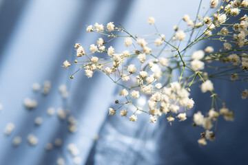 floral background for design. flowers close-up with blurred background.