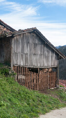 Fototapeta na wymiar Granero rústico de tablones de madera en zona rural de Asturias
