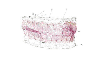 Teeth Model UI. HUD medical scanning