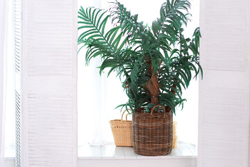 View from the light room on large window with open white shutters. Old mediterranean window with houseplant in basket. Large skylights windows with wooden trim. Palm potted on the windowsill of house.
