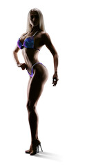 Silhouette of a beautiful woman's body. Stunning Bikini Fitness Model. Fitness and Figure winner....