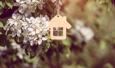 The symbol of the house among the branches of the pear
