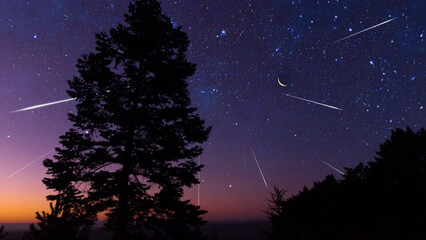 Starry Milky Way skies with comet and meteor shower, falling and shooting stars. - obrazy, fototapety, plakaty