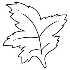 Maple Leaf doodle abstract. Hand drawn outline vector illustration.