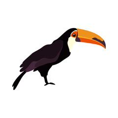 Image of toucan with big beak. Vector card