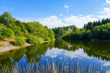 Landscape at the Unterer Eschenbacher Teich. Nature at the lake near Clausthal-Zellerfeld in the Harz National Park. Former mining pond.

