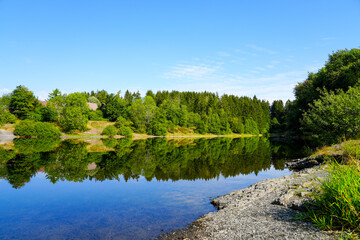 Fototapeta premium Landscape at the Unterer Eschenbacher Teich. Nature at the lake near Clausthal-Zellerfeld in the Harz National Park. Former mining pond. 