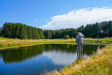 Obraz premium View of the landscape at the Wasserläufer Teich near Clausthal-Zellerfeld. Idyllic nature by the lake in the Harz National Park. Old mining pond. Water strider pond.