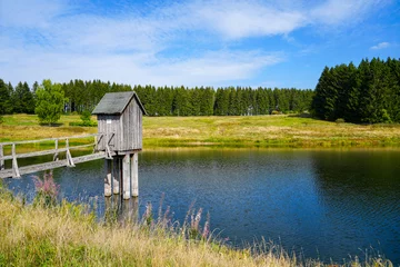 Selbstklebende Fototapeten View of the landscape at the Wasserläufer Teich near Clausthal-Zellerfeld. Idyllic nature by the lake in the Harz National Park. Old mining pond. Water strider pond.    © Elly Miller