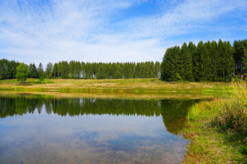 Fototapeta na wymiar View of the landscape at the Wasserläufer Teich near Clausthal-Zellerfeld. Idyllic nature by the lake in the Harz National Park. Old mining pond. Water strider pond.