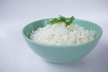 The rice bowl has cilantro to decorate.