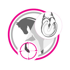 horse and the health of its hooves