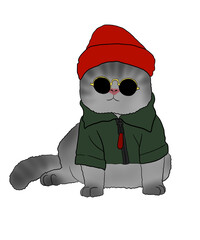 Chubby Cat With Sunglasses and Hat