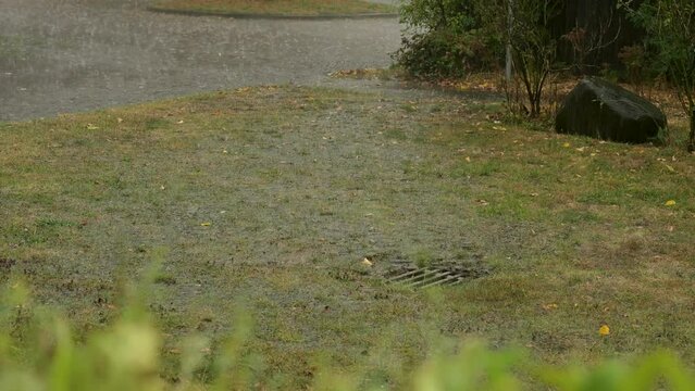 Schweres Unwetter Regenschauer und ablaufendes Regenwasser 