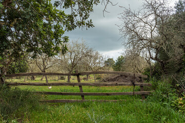 Old wooden fence enclosing a crop field