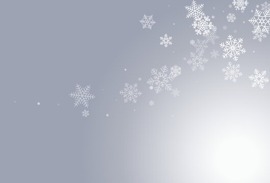 Gray Snowflake Vector Gray Background. Christmas