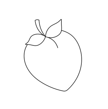 recommend clip art: Vector isolated one simple minimal peach plum apricot fruit with two leaves colorless black and white contour line easy drawing