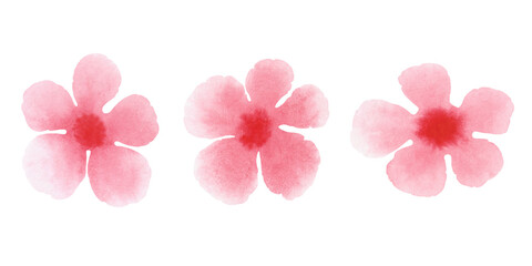 Watercolor with texture, illustration of delicate, blooming, spring, pink flower of almonds for the holiday, postcards, invitations and as an element for design and design