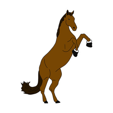 standing horse illustration