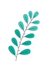leaves nature icon