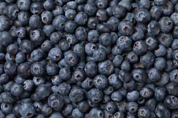 Fresh ripe blueberries close up full frame as background