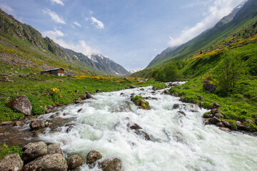 A beautiful landscape from the Elevit uplands of Rize in Black Sea region of Turkey. 