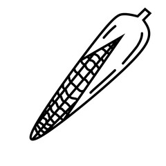 Vegetable Doodle Drawing line