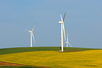 Wind turbines surrounded by lush crop fields, South Africa.