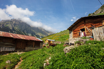 A beautiful landscape from the Elevit uplands of Rize in Black Sea region of Turkey. 