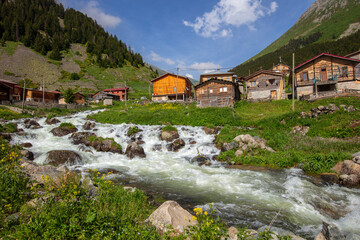 Fototapeta premium A beautiful landscape from the Elevit uplands of Rize in Black Sea region of Turkey. 