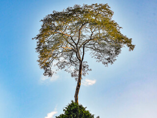 imagens da viagem ao Rio Valparaiso, Cruzeiro do Sul, Acre