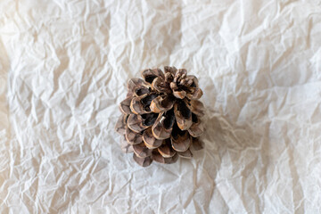 fir cone, natural home decor