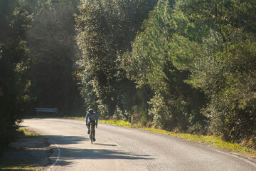 Italia, Toscana, Livorno,  ciclista su strada con alberi.