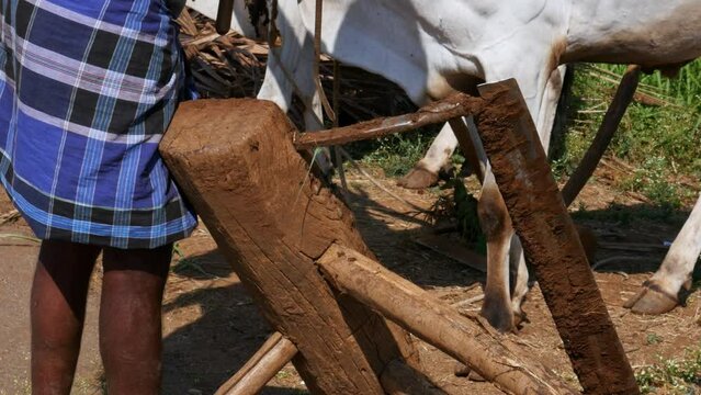 A closeup of farmer cleaning wooden plough with weeding knife