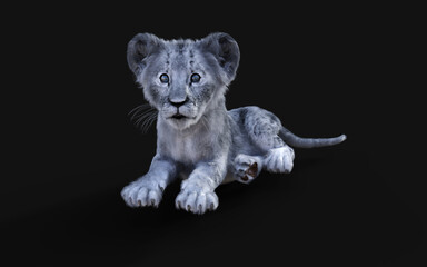 Naklejka na ściany i meble 3d Illustration Portrait of White Little Lion Cub Isolated on Dark Background