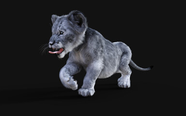 Fototapeta na wymiar 3d Illustration Portrait of White Little Lion Cub Isolated on Dark Background