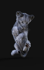 3d Illustration Portrait of White Little Lion Cub Isolated on Dark Background