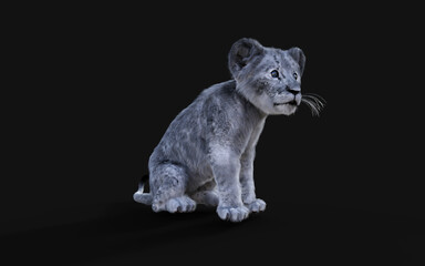 Fototapeta na wymiar 3d Illustration Portrait of White Little Lion Cub Isolated on Dark Background