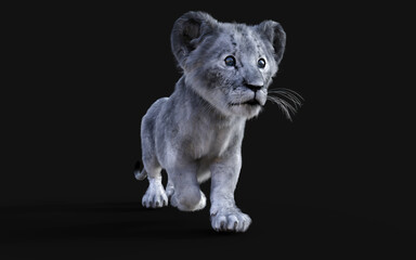 Plakat 3d Illustration Portrait of White Little Lion Cub Isolated on Dark Background