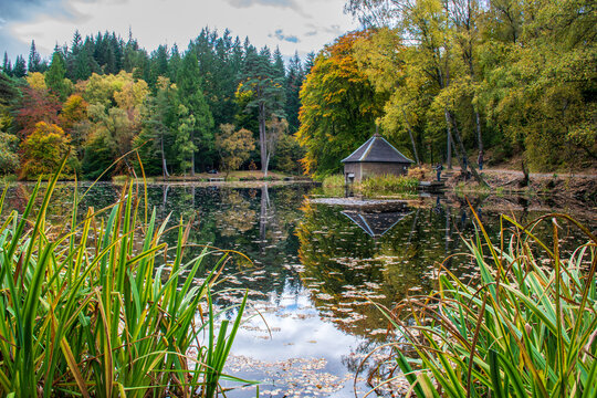 Loch Dunmore, Faskally Wood, Pitlochry, Perthshire
