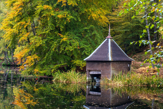 Loch Dunmore, Faskally Wood, Pitlochry, Perthshire