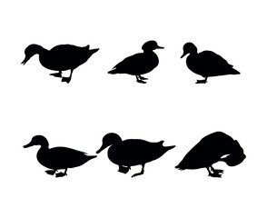 Collection of black silhouettes ducks