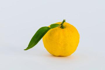 白い背景の葉付きのユズ