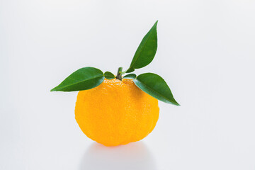 白い背景の葉付きのユズ