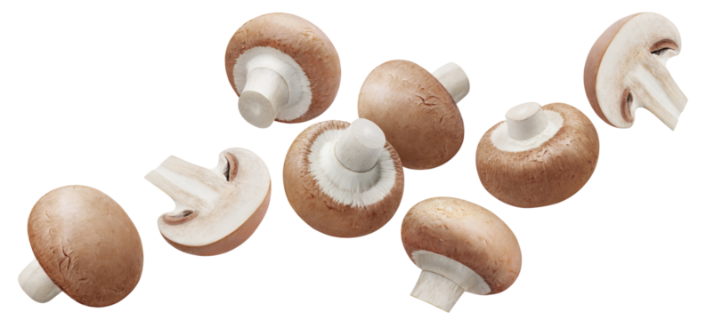 Flying champignon mushrooms cut out